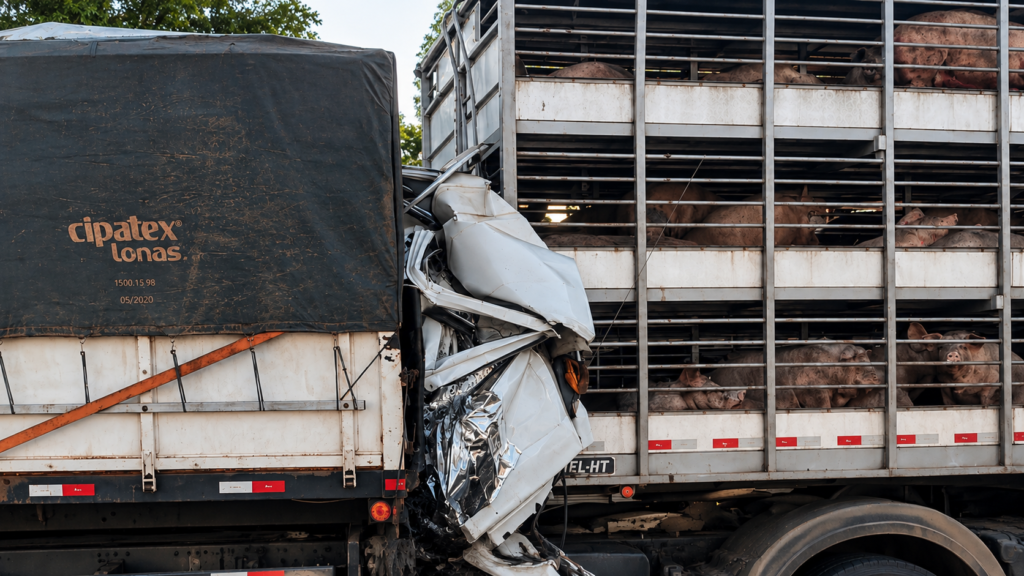 Tragédia no Trevão: colisão entre quatro carretas deixa uma pessoa morta e interdita a BR-163